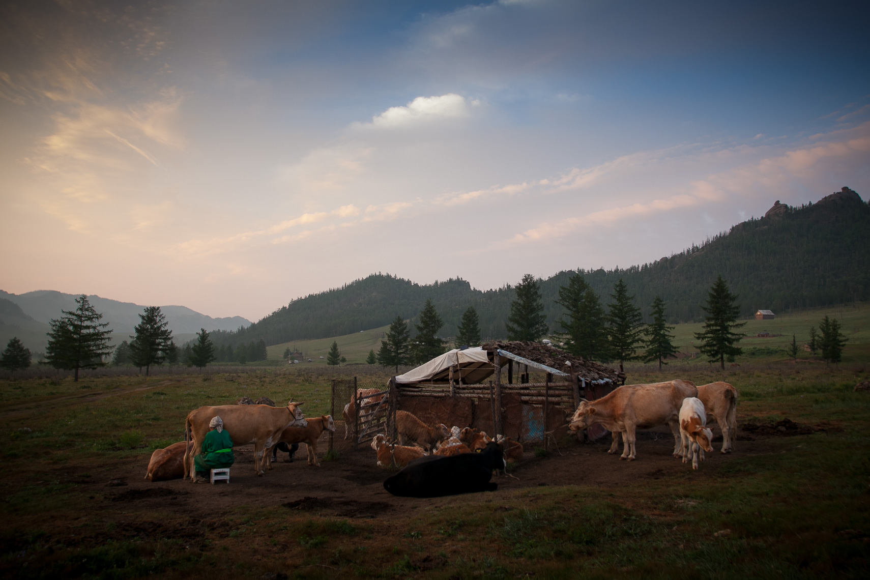 Advanced_Photo_Workshop_Mongolia_for_Rustic_Pathways_20130805_photo_by_Justin_Kase_Conder_1073