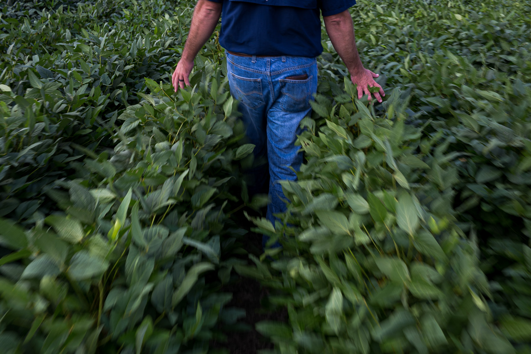 Brandon_Batten_for_North_Carolina_Field_and_Family_20190902_photo_by_Justin_Kase_Conder_0560