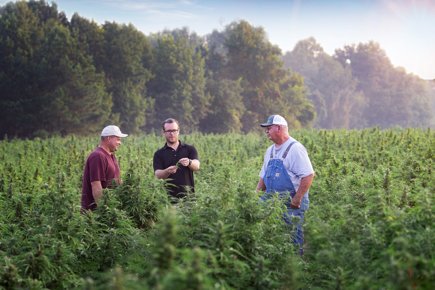 North_Carolina_Hemp_Farm_and_Farmers_for_Criticality_and_Aliance_One_20180904_photo_by_Justin_Kase_Conder_0513_Retouched_V02